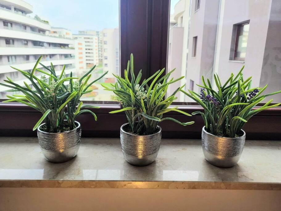 Apartment Sophie 3 Rooms, 2 Bathrooms, 8 Persons Krakow Bagian luar foto